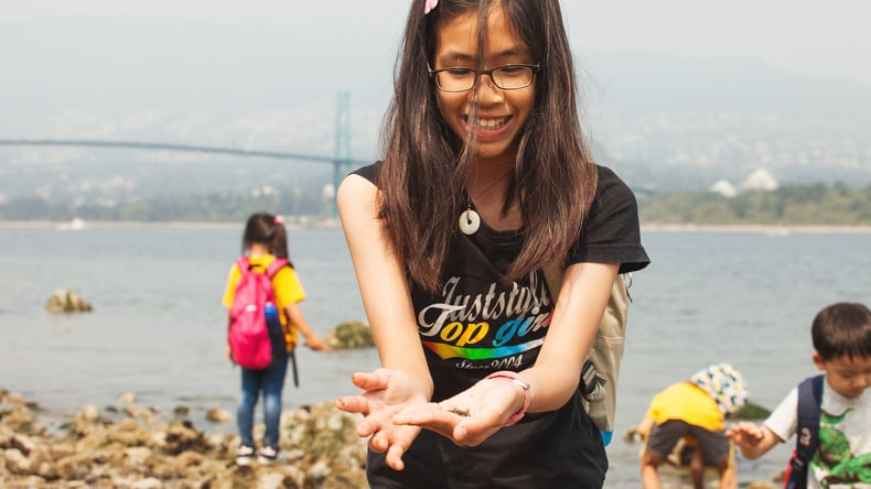 يوم على الشاطئ