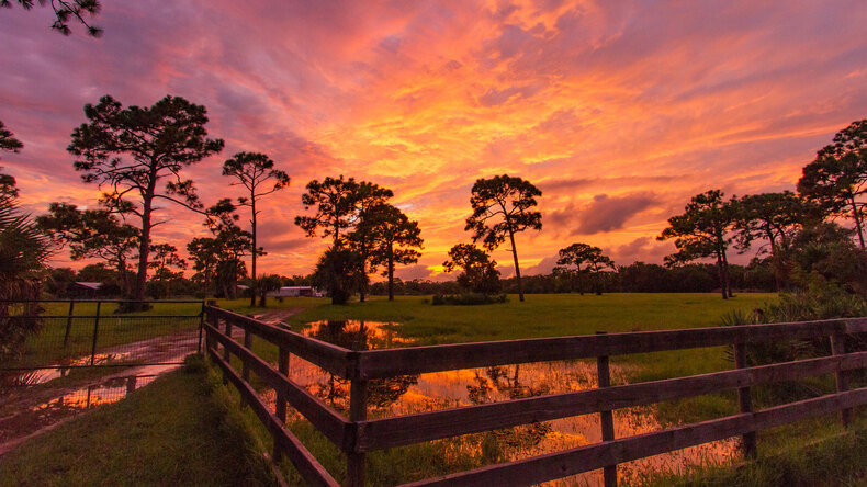 Melbourne FL