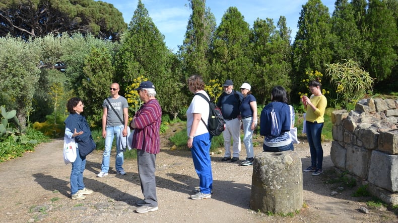 Trädgårdar