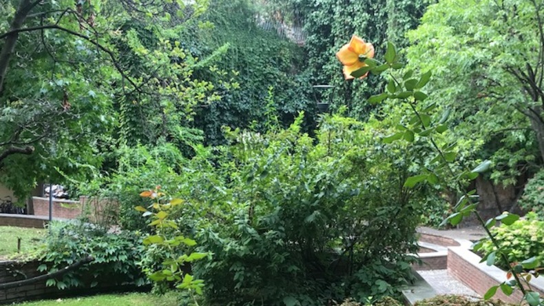 Giardino