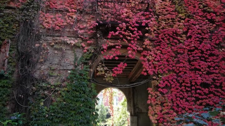 Angoli incredibili del parco