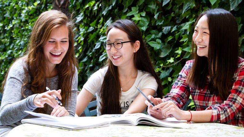 Studiegroep