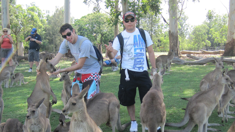 Feeding the kangaroos!