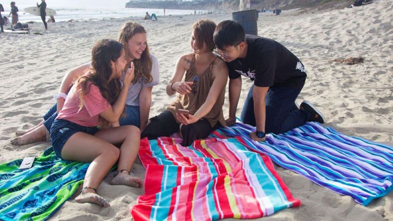 Strandpicknick