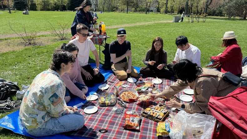 Piknik