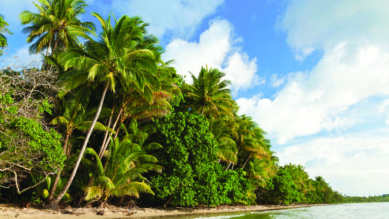 Cairns