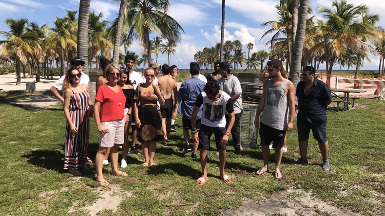 Debaixo das palmeiras