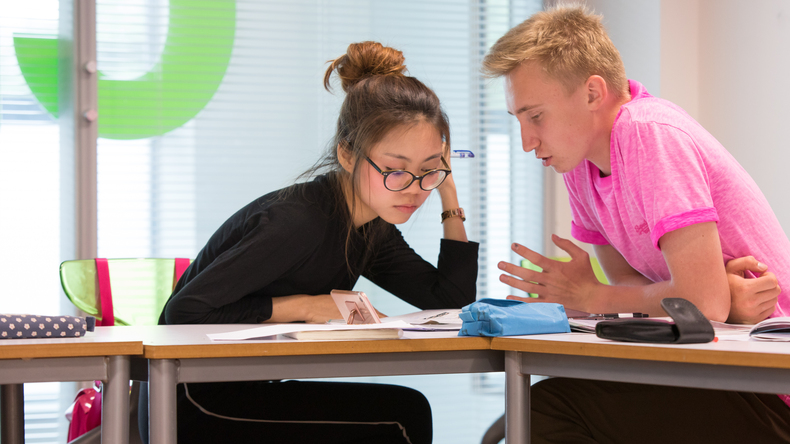 التعلم الجماعي