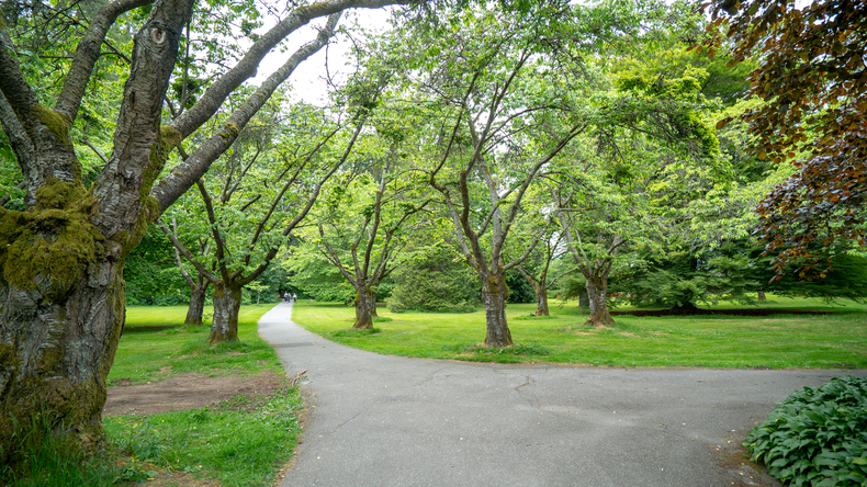 Park