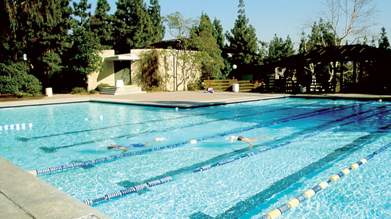 Zwembad 