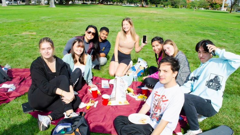 Picnic