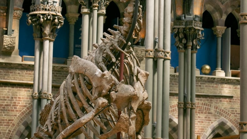 Visita ao museu