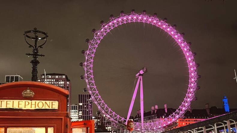 Studenter ved London Eye, utflukt til London