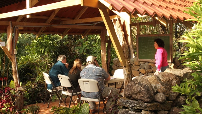 التعلم في الخارج