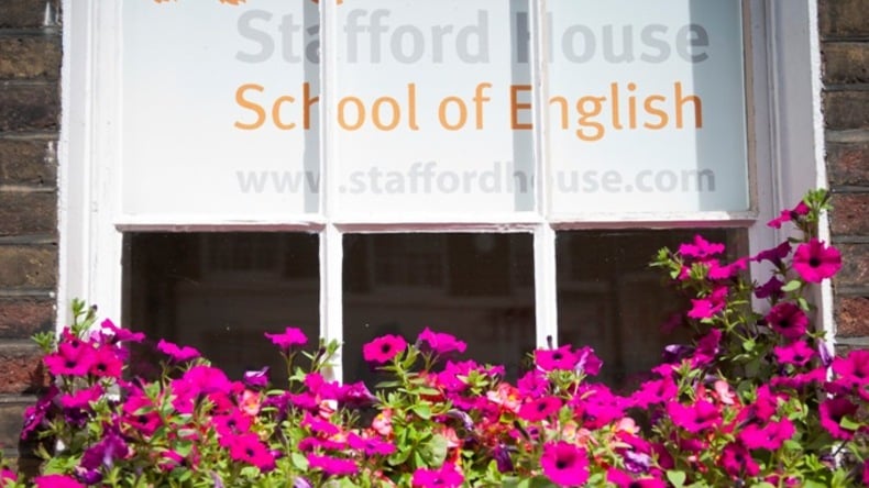 Stafford House International school building