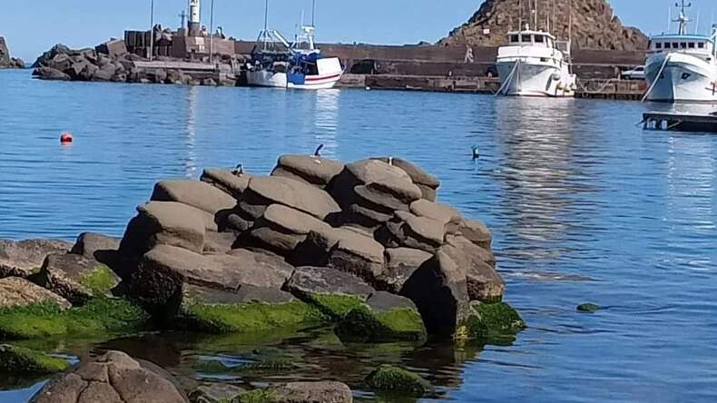 CATANIA - de buitenwijk van Acitrezza