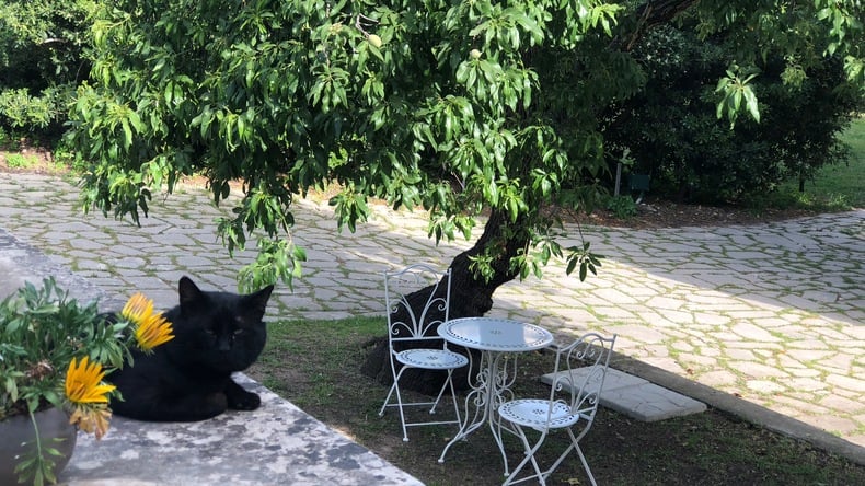 Az Olasz Akadémia szabadtéri területe