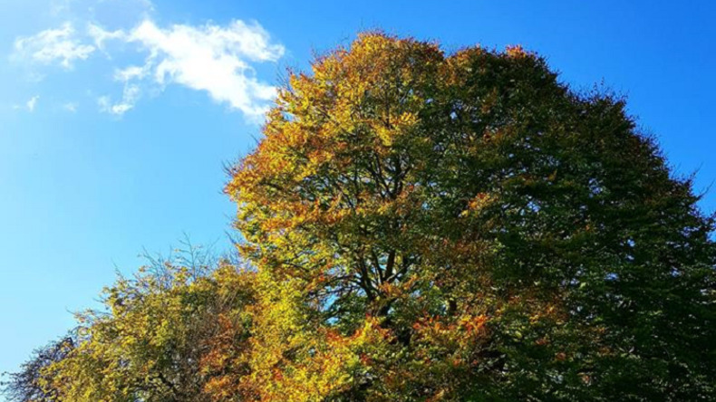 Parque em Eastbourne
