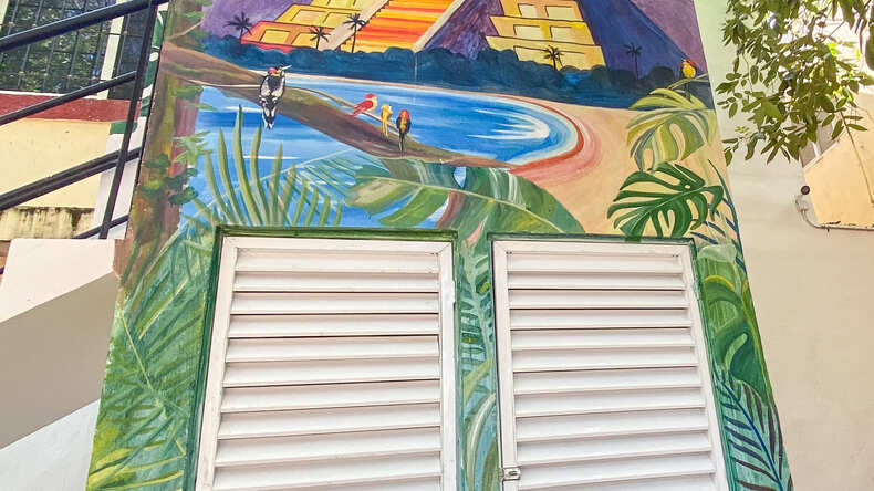 Studeren in Playa del Carmen
