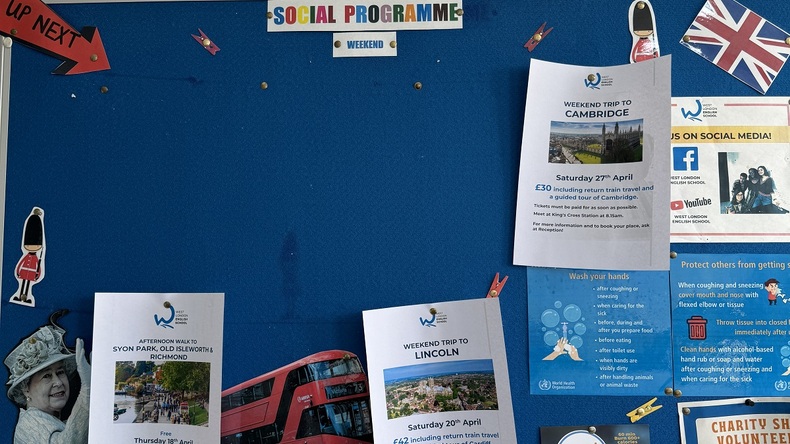 Programma sociale
