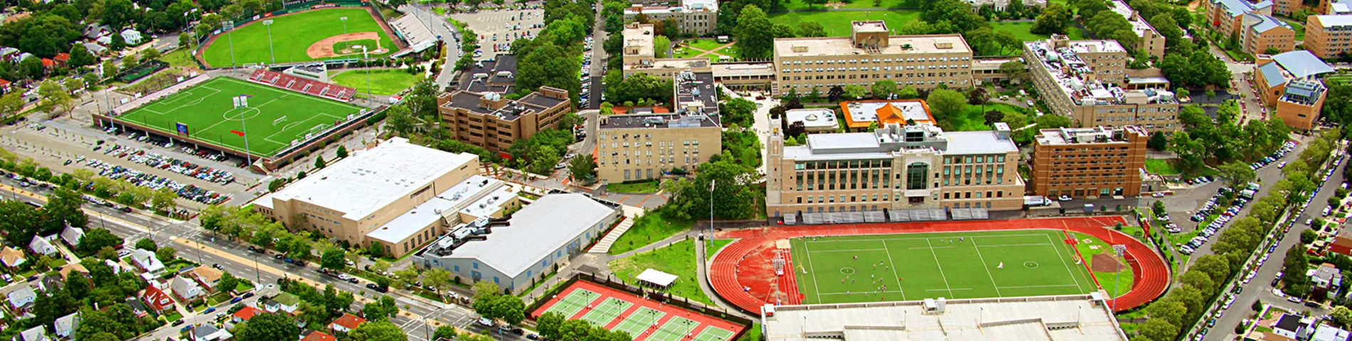 Access to Language Studies图片1