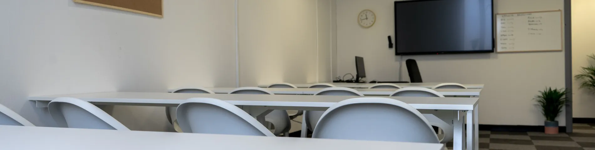 ACE Language School billede 1