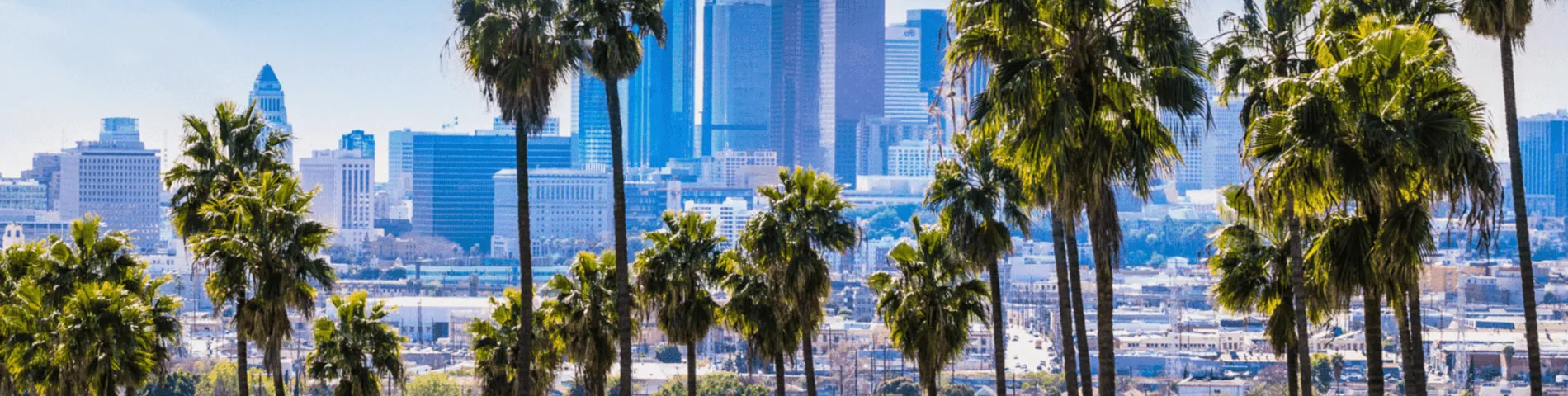 Alpadia Summer Camp billede 1