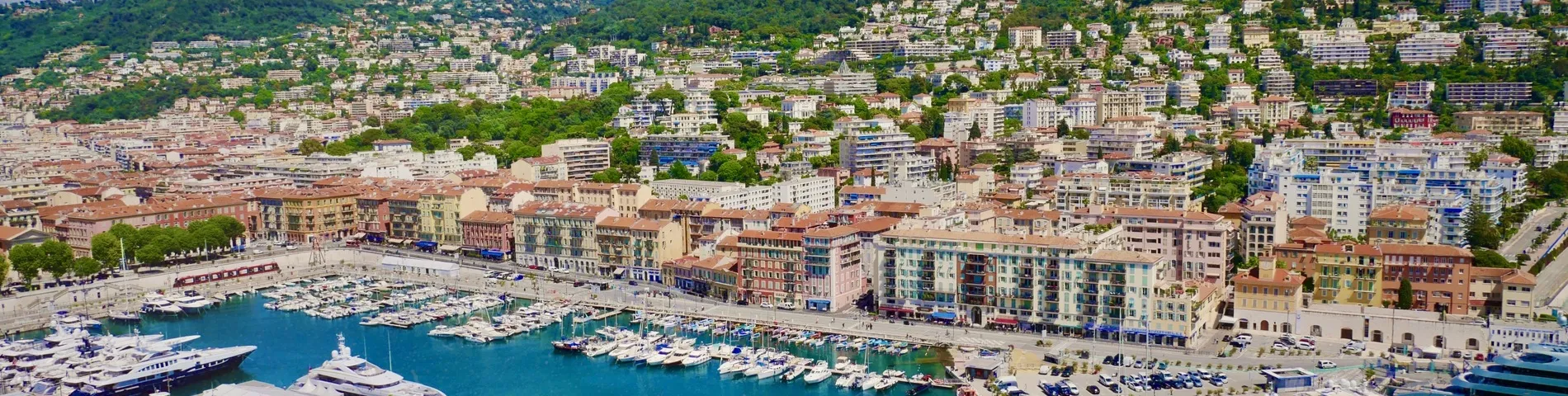 Alpha. b French Language School picture 1