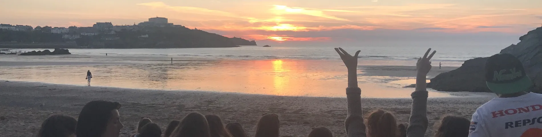 Babel Fish billede 1