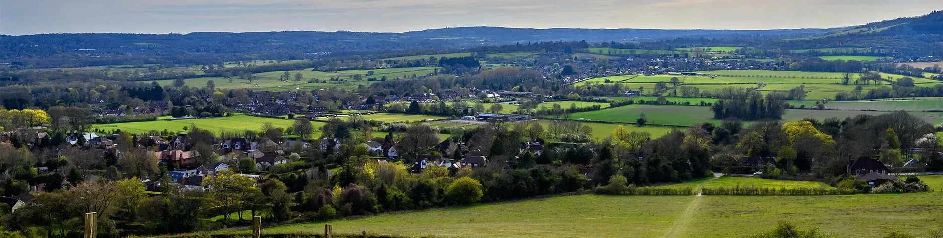 Concorde International Home Language Tuition图片1