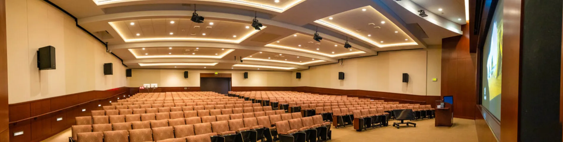 Converse International School of Languages Junior Centre kép 1 Converse International School of Languages Junior Centre kép 1