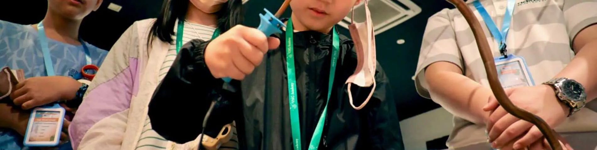 Direct English International Language Centre bilde 1