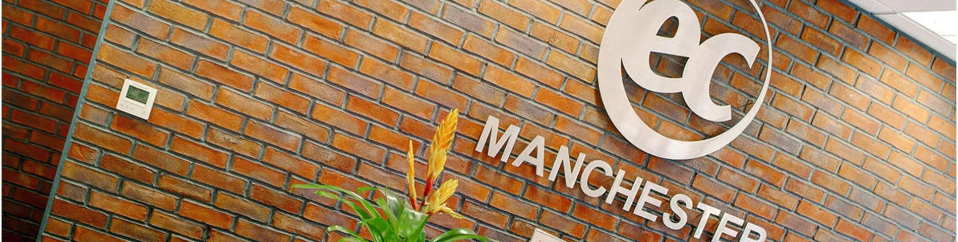 EC English صورة 1