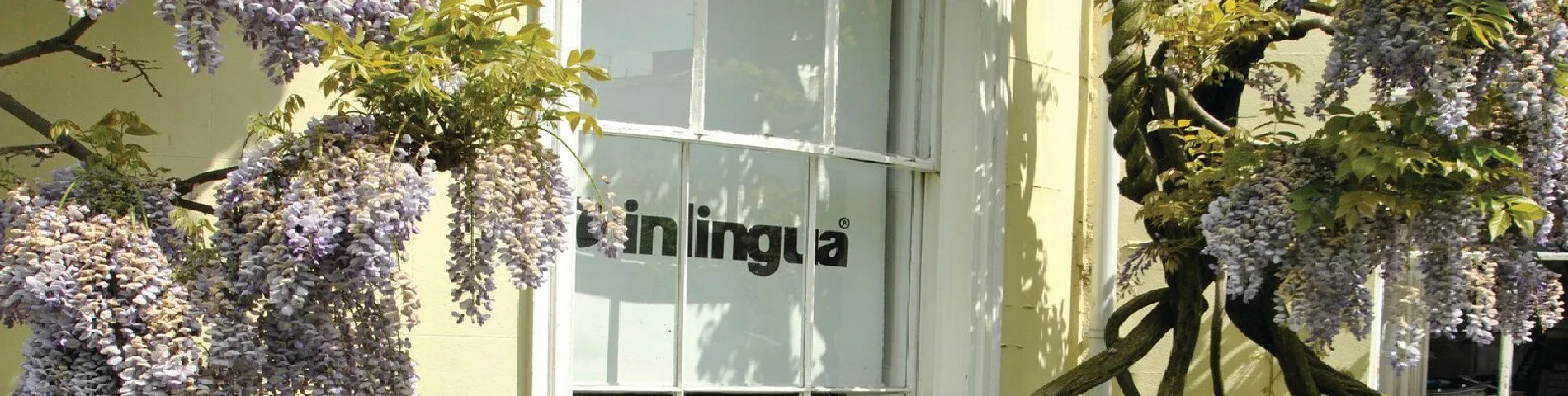 Inlingua  kép 1