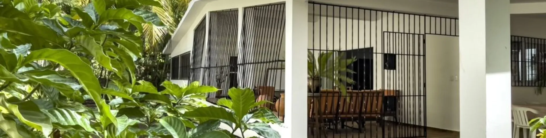 Instituto Intercultural del Caribe (IIC) foto 1