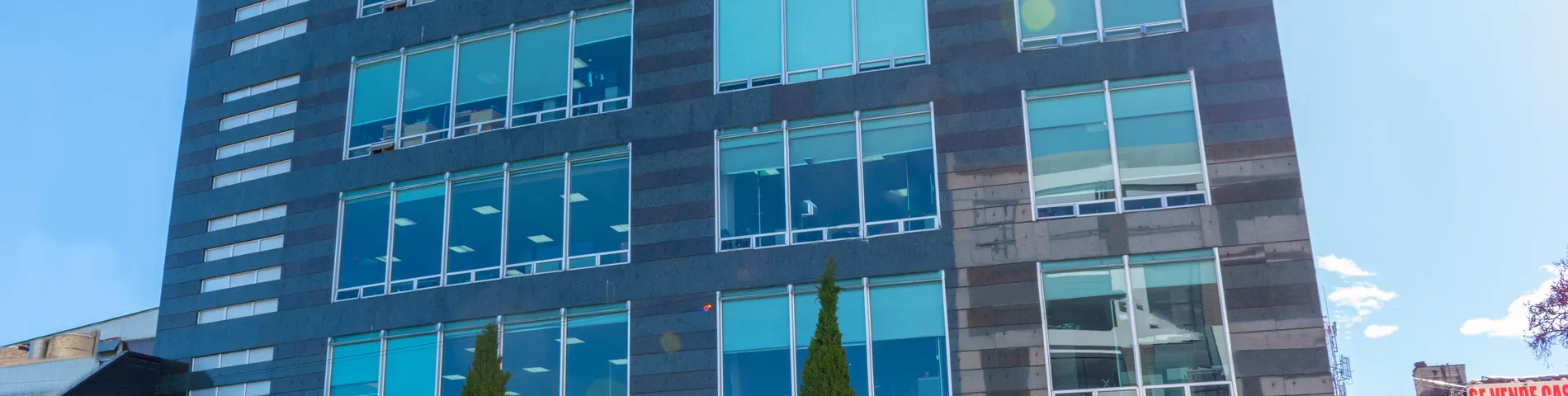 International House billede 1 International House billede 1