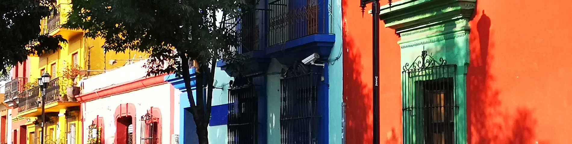 International House immagine 1