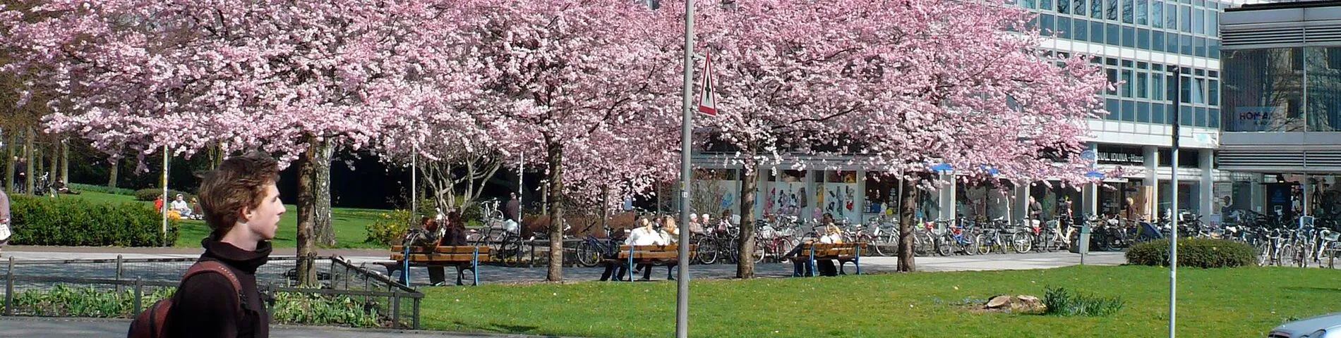 KAPITO Sprachschule immagine 1