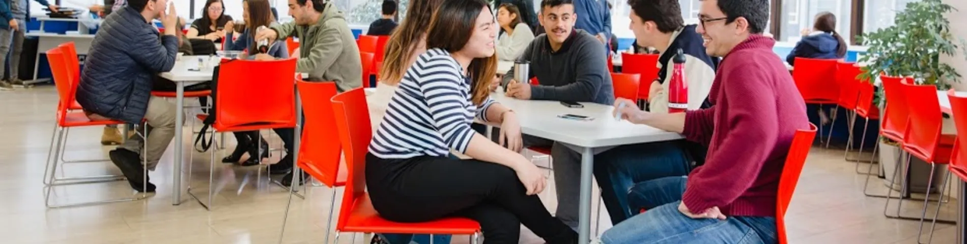 LSI - Language Studies International photo 1