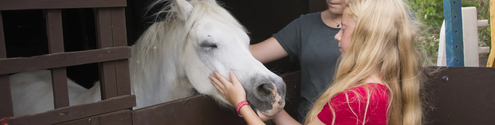 NSX - Woodbridge School 사진 1개