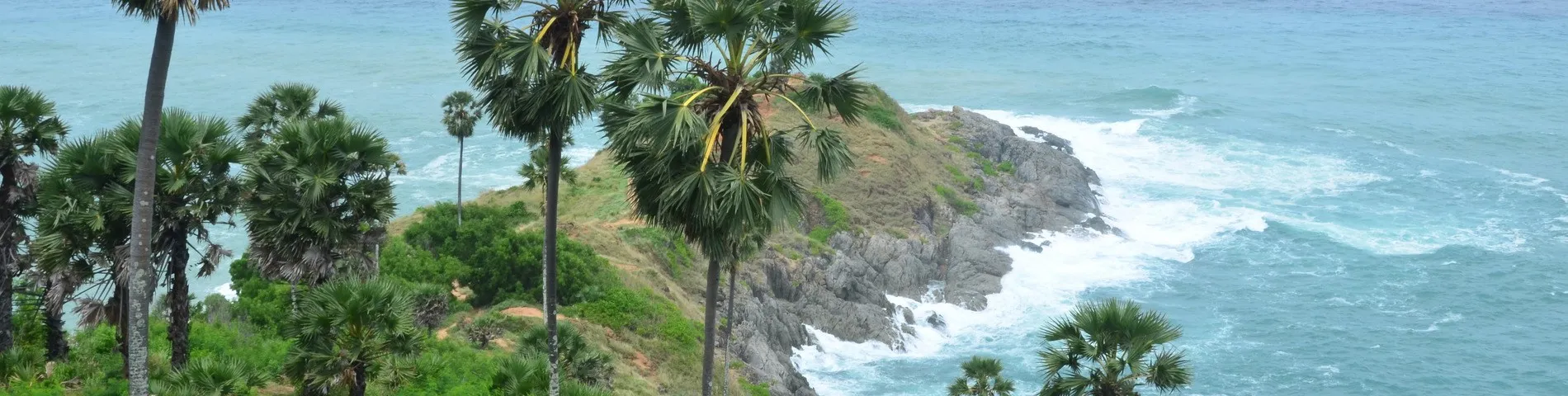 Patong Language School billede 1