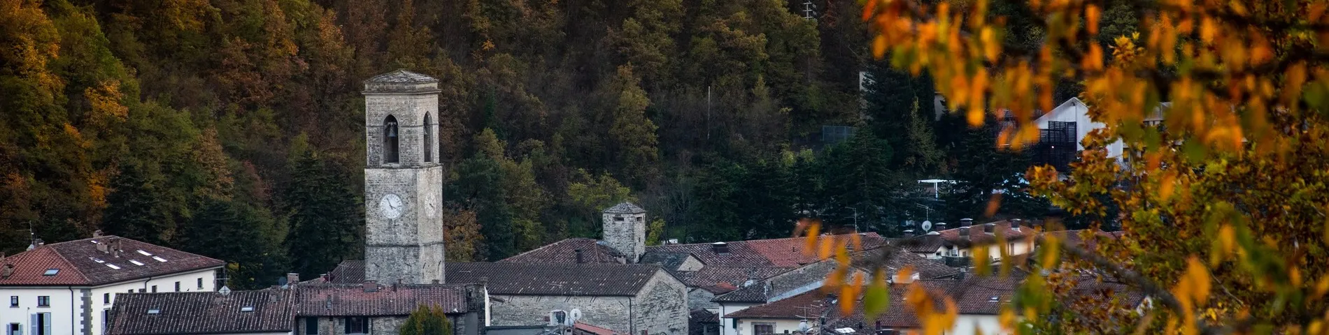 Scuola Palazzo Malvisi picture 1