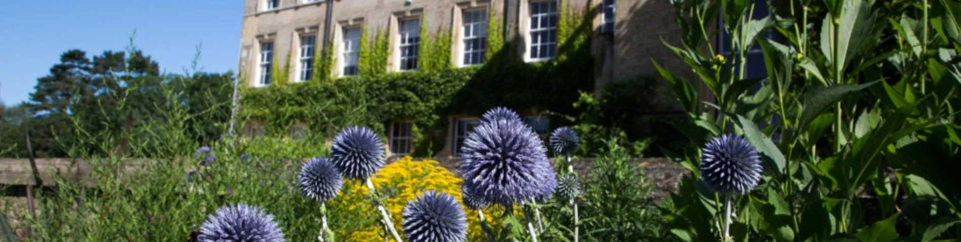 Select English Summer Centre bilde 1