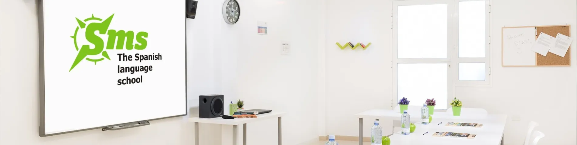 SMS Spanish Experience, Adeje picture 1