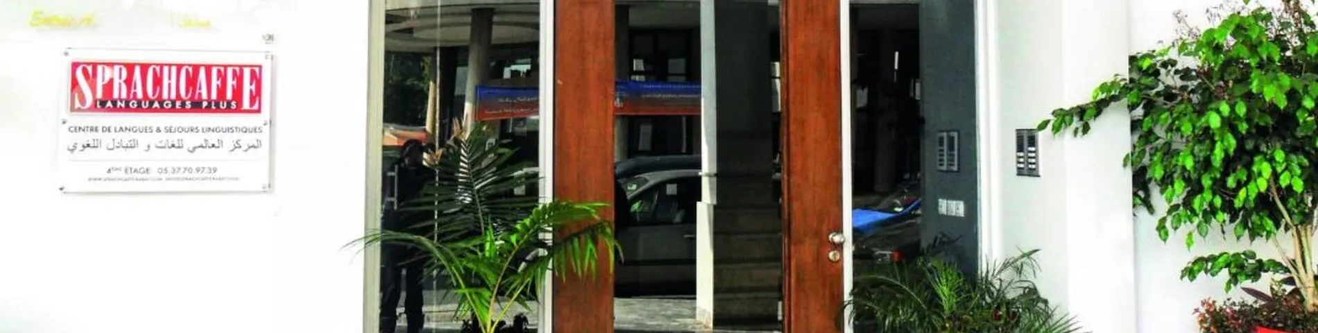 1 фотографий Sprachcaffe 1 фотографий Sprachcaffe