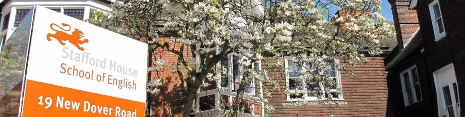 Stafford House International afbeelding 1