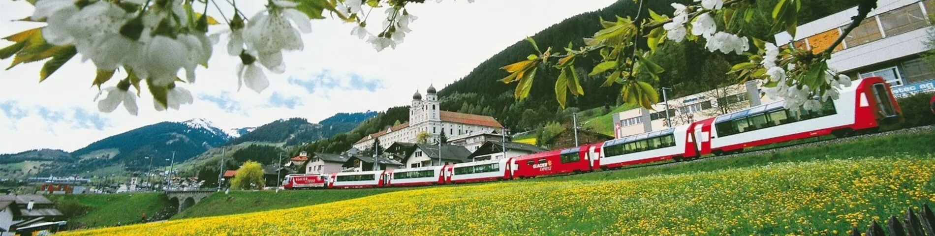 Swiss Boarding Schools Disentis & Zurich picture 1