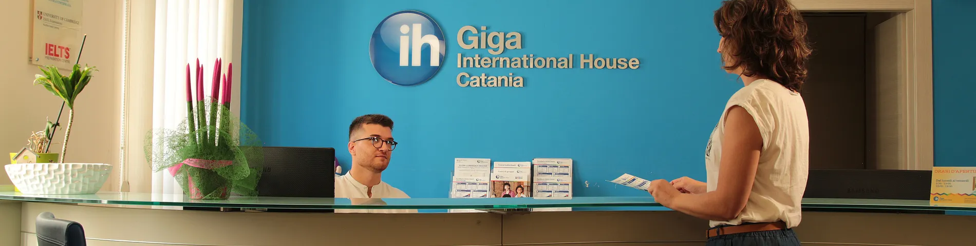 TEAM LINGUE - International House afbeelding 1