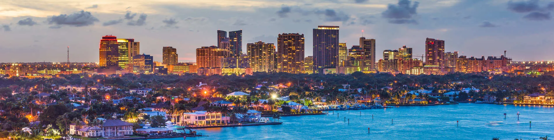 TLA-The Language Academy صورة 1