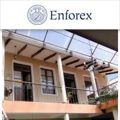 Enforex